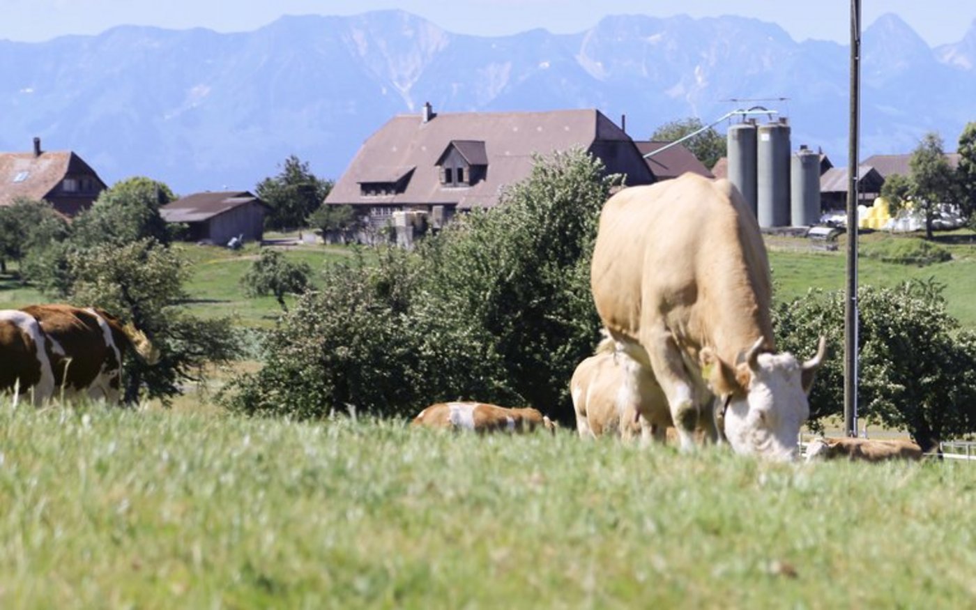 Die meisten können derzeit nicht vom Coop-Programm profitieren, auch wenn sie die Anforderungen erfüllen. (Symbolbild lid/ji)