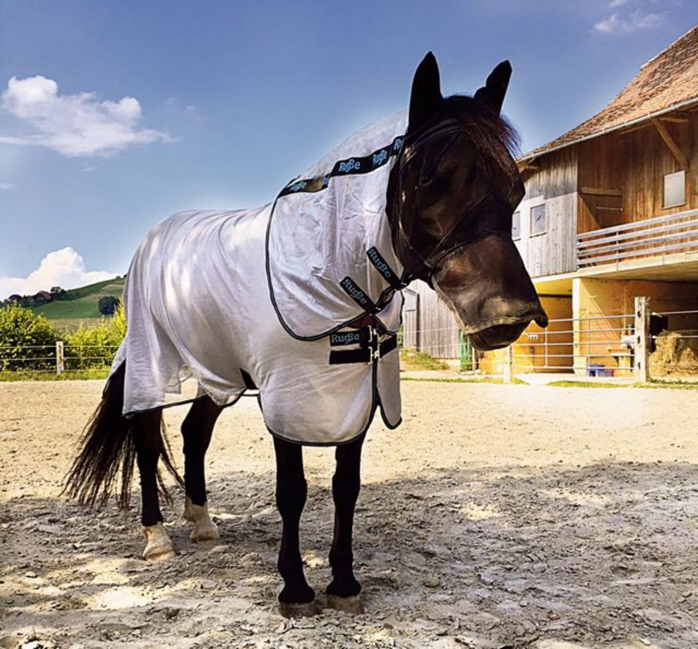 Sie sehen aus wie Astronauten. Immer mehr Pferde gehen auf die Weide mit Schutzanzügen. Längst nicht jedes Pferd braucht die Decke und die Maske, aber oft tun sie gute Dienste. (Bild Simone Barth)
