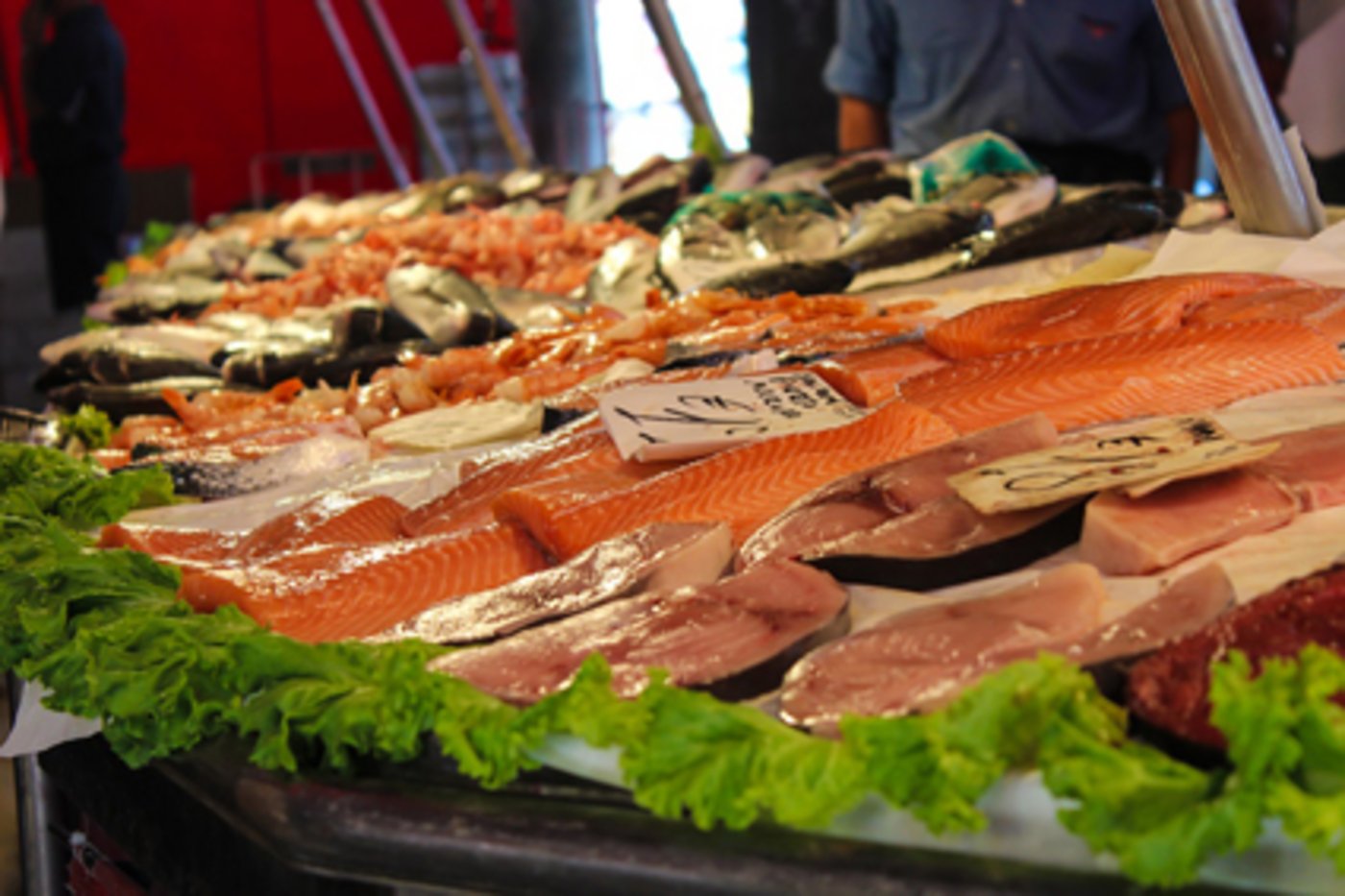 Norwegen ist mit dem Export von Lachs erfolgreich. (Bild pd)