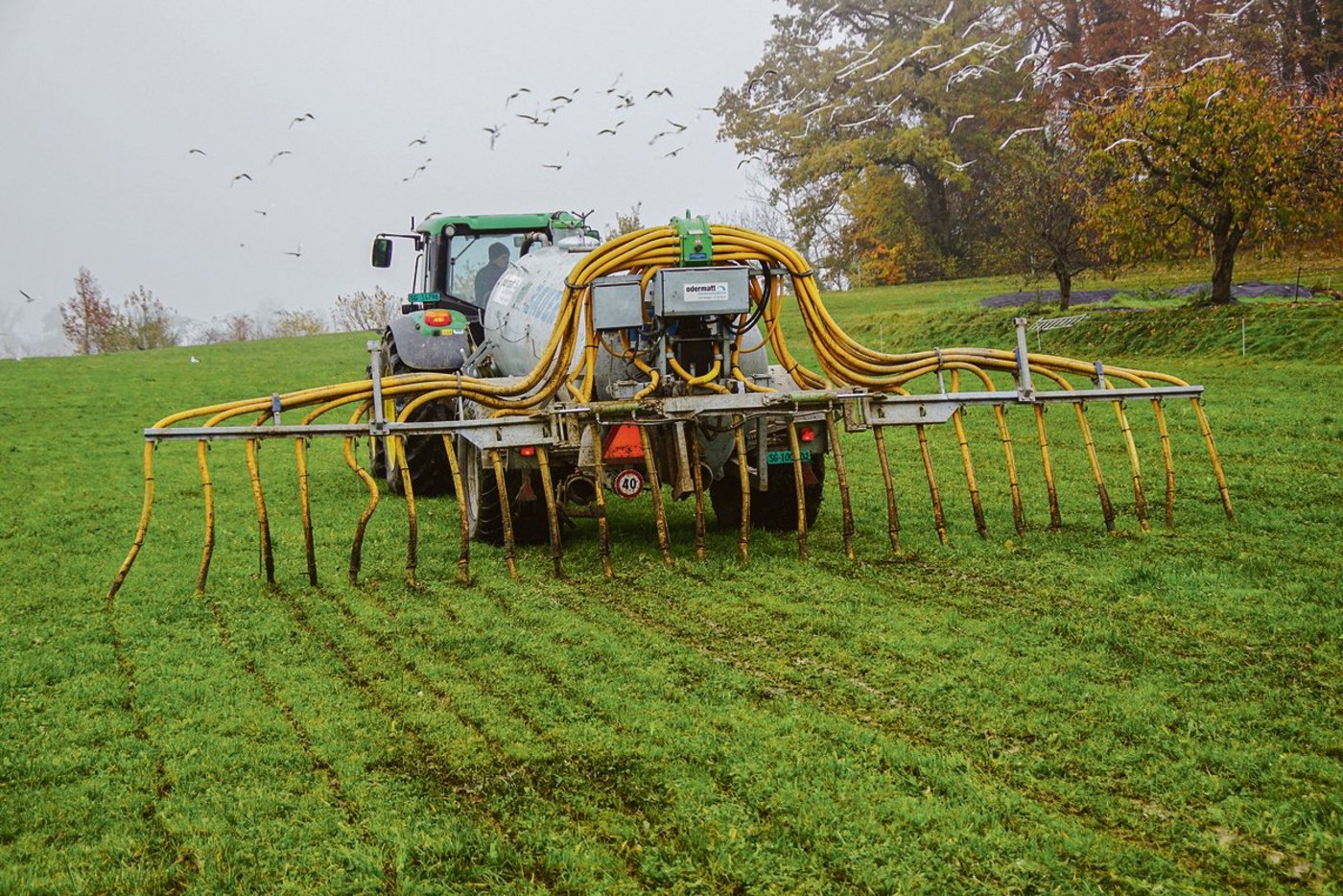Ausbringen der Gülle mit einem 6 m³ grossen Druckfass und einem 7,5 m breiten Schleppschlauchverteiler auf einer Wiese des Kappelhofes in Wittenbach SG. (Bilder M. Götz)
