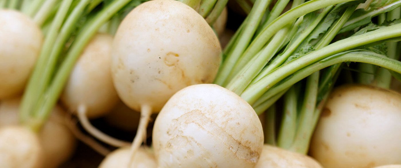 Die Mairübe kann weiss oder mit einer lilafarbenen Färbung auftreten. (Bild: 5amtag)