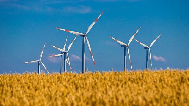 WWF Schweiz sagt Ja zum CO2-Gesetz Der WWF sagt Ja zum CO2-Gesetz. (Bild Pixabay)