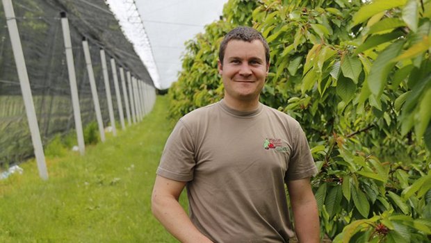 "Der Totaleinnetzung von Kirschenkulturen gehört die Zukunft": Obstproduzent Tobias Meuter packt seine Kirschenanlage rundum mit Netzen ein. (Bild lid)