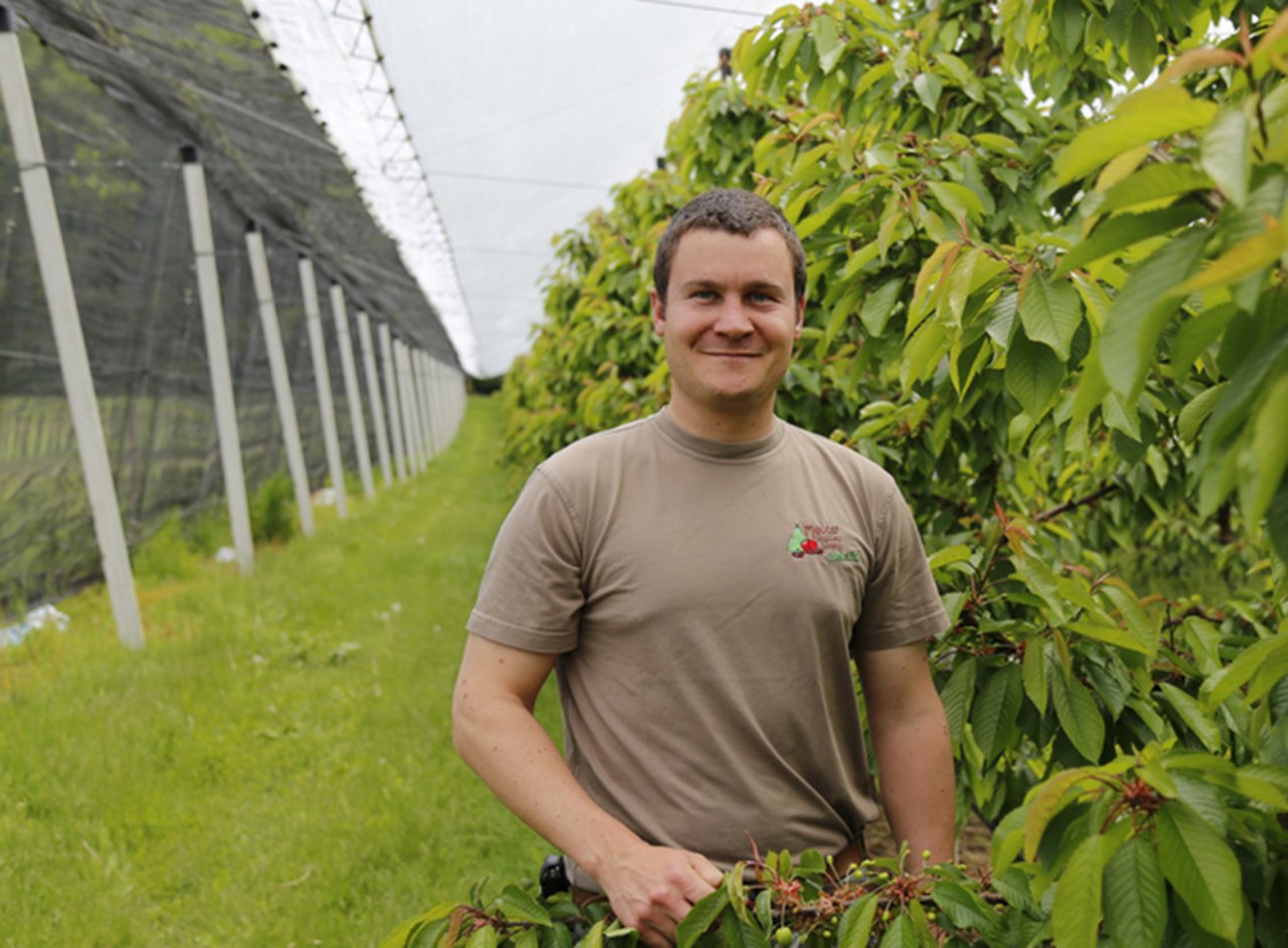 "Der Totaleinnetzung von Kirschenkulturen gehört die Zukunft": Obstproduzent Tobias Meuter packt seine Kirschenanlage rundum mit Netzen ein. (Bild lid)