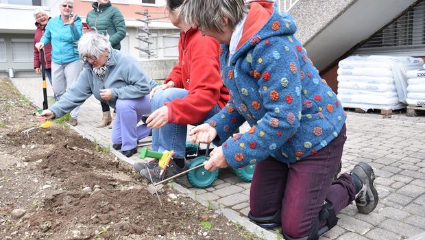 Mit Knieschonern, Rollhockern und ergonomischgeformtem Werkzeug ist die Gartenarbeit um einiges "menschenfreundlicher". (Bild und Video et)