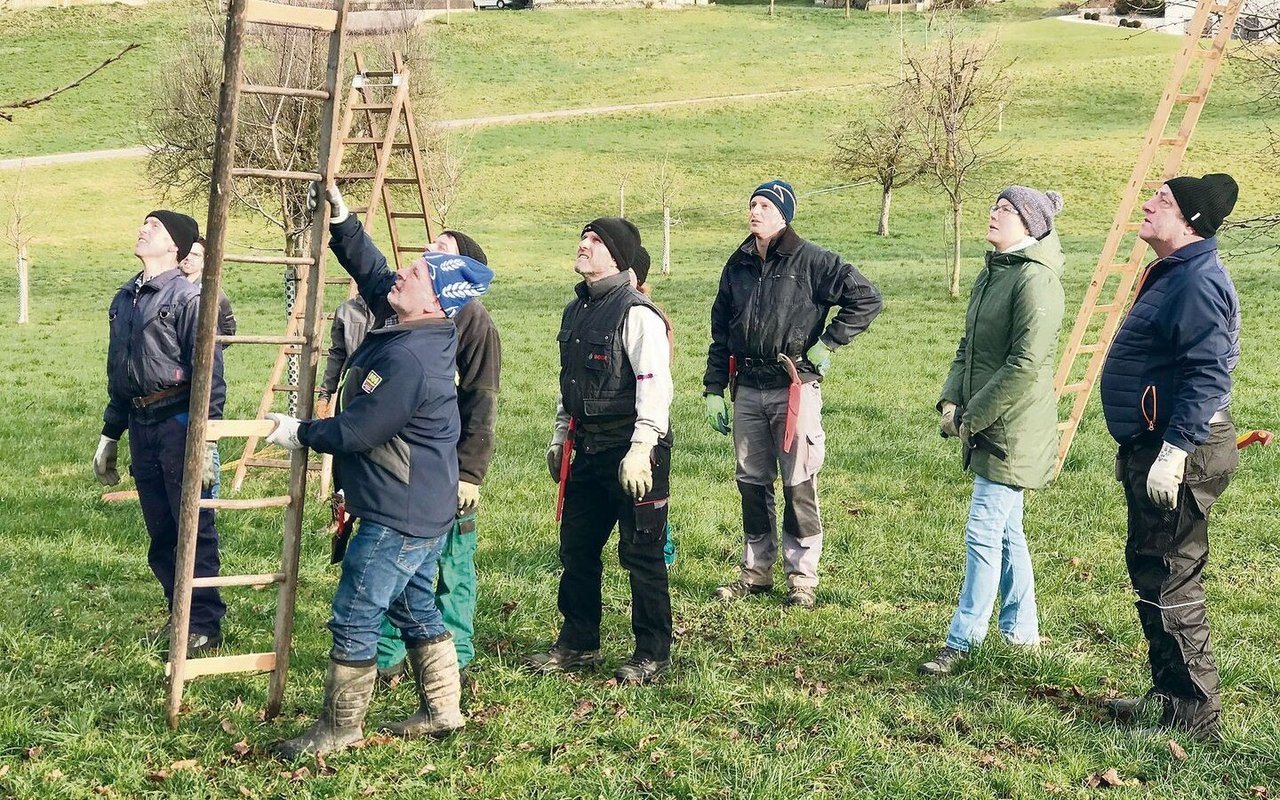 Das Baumschneiden ist lernbar. In Gruppen lässt sich die Wirksamkeit verbessern und die Arbeit macht mehr Spass.