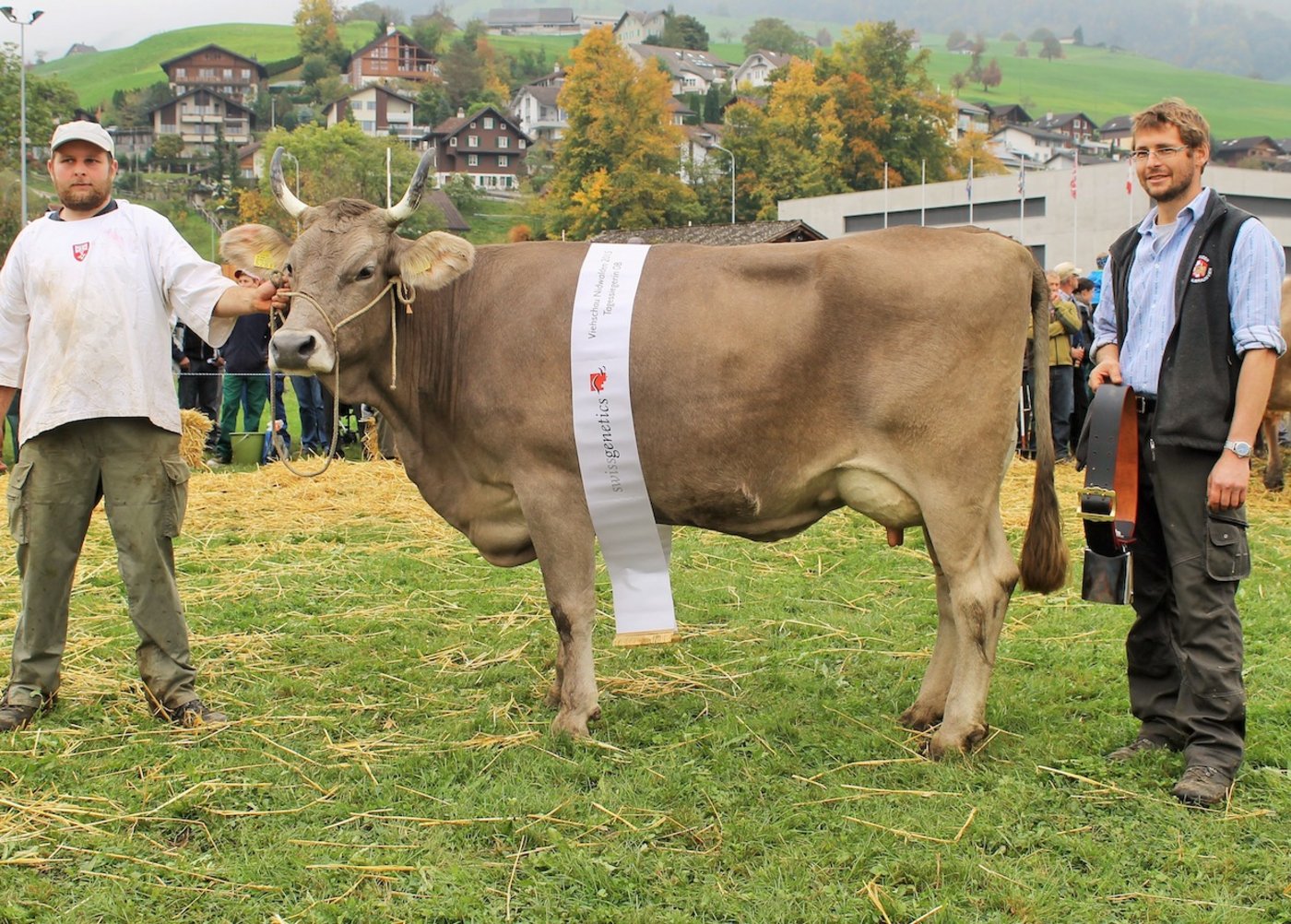 Nach dem letztjährigen Ehrenplatz siegte Rocky Werda von Fredy Frank, Ennetbürgen bei der Wahl zur Tagessiegerin OB.