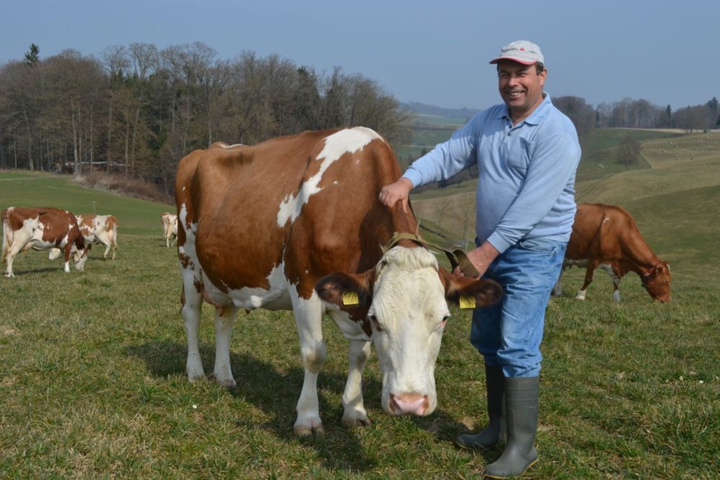 Andreas Freiburghaus mit seiner Ölibach Stadler Vista Bella. Die siebenjährige Kuh ist mit EX-90 beurteilt und hat Leistungen bis 8000 kg Milch bei sehr hohen Milchgehalten. (Bild Peter Fankhauser)