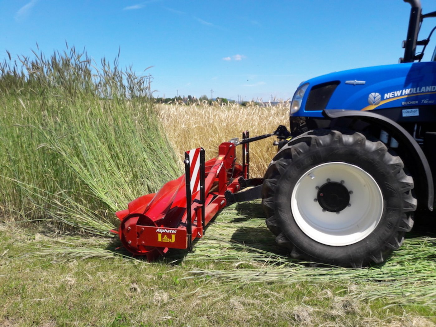 Einsatz der Messerwalze auf einer Parzelle mit reduzierter Bodenbearbeitung. (Bild Camille Minguely)