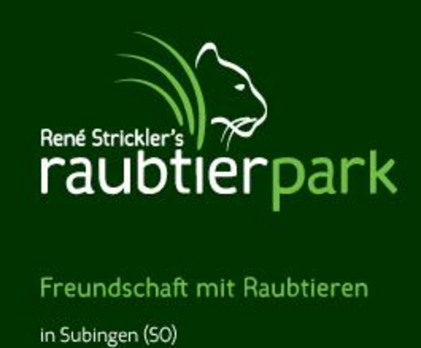 Im Raubtierpark von René Strickler leben zurzeit 18 Löwen, Tiger und Pumas. (Screenshot raubtierpark.ch)