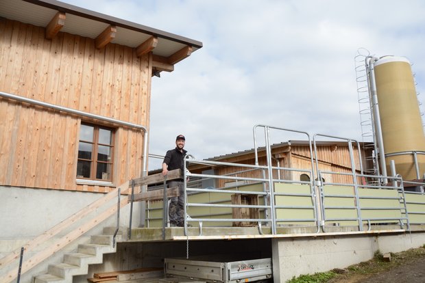 Schwein haben im neuen Stall Samuel Berchtold zwischen den beiden Ställen. Der Abferkelstall links ist neu, der Maststall rechts wurde umgebaut. (Bilder Armin Emmenegger)