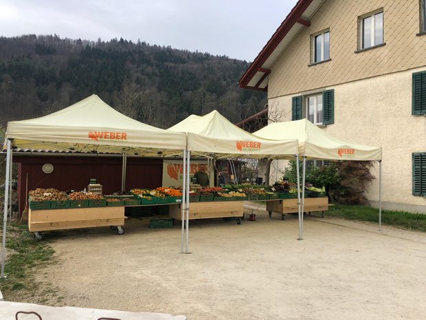 Jetzt, wo kein Bauernmarkt mehr stattfindet, müssen die Kunden ihr Gemüse direkt bei Miro Weber in Neunkirch einkaufen. (Bild zVg)