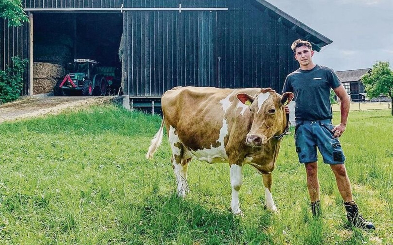 Jonas Egli und seine Male, die mit etwas Glück bald die Marke von 100 000 kg Lebensleistung knackt.