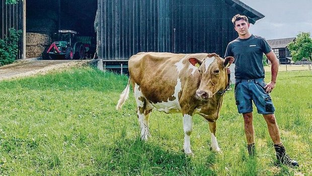 Jonas Egli und seine Male, die mit etwas Glück bald die Marke von 100 000 kg Lebensleistung knackt.