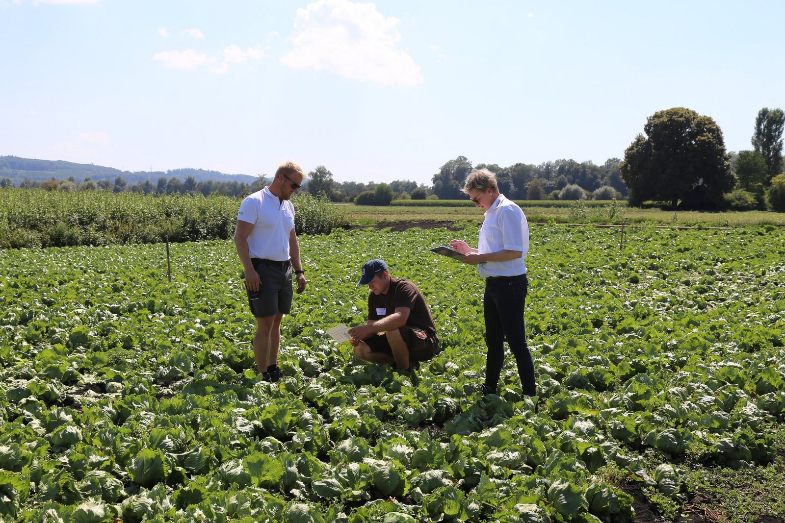 Mehr Lernende im Berufsfeld Landwirtschaft - bauernzeitung.ch