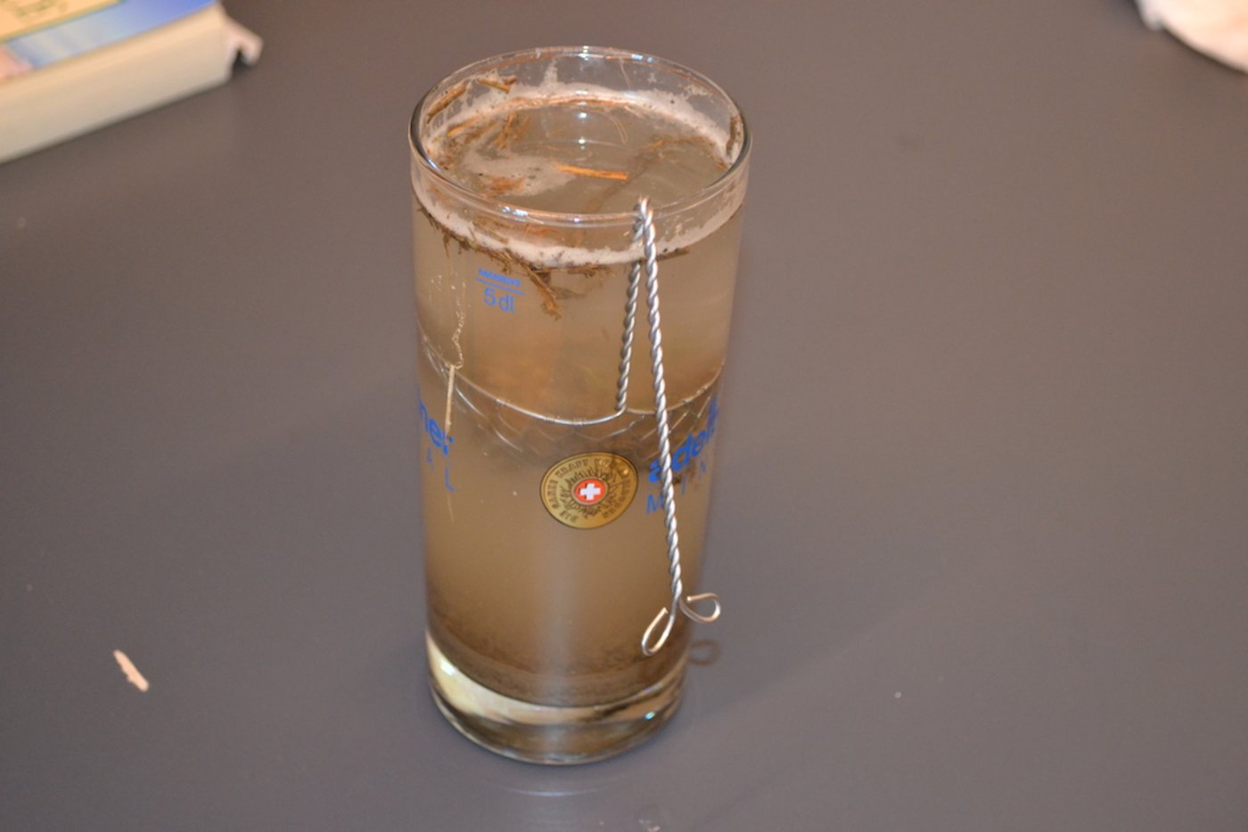 Ein umfunktioniertes Fondue Chinoise-Sieb zeigt, wie gut die Krümelstabilität der Erde ist. (Bild jsc)