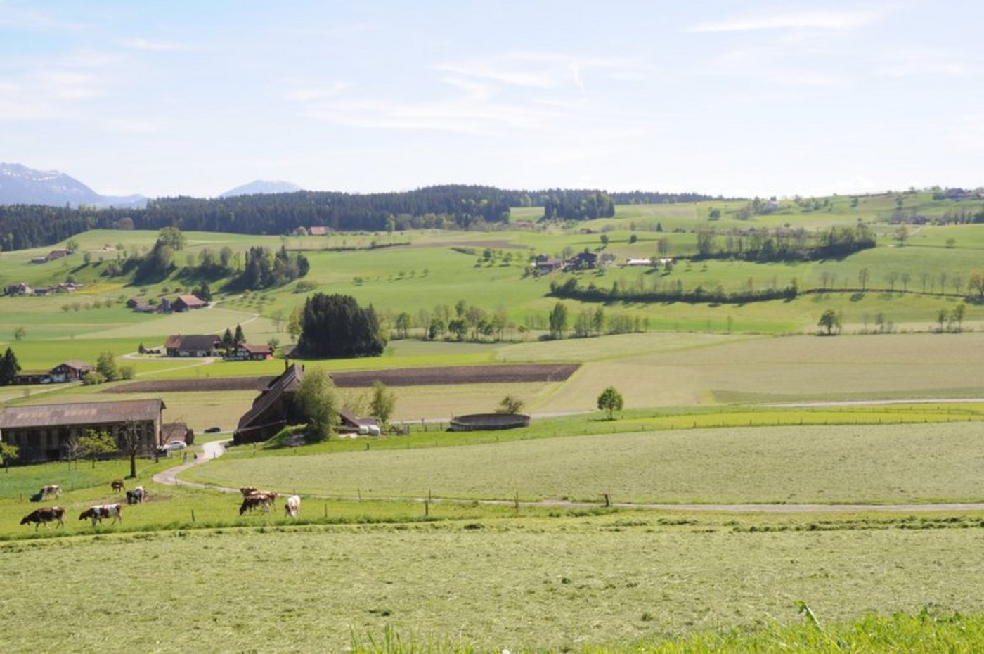 Heulandschaft Ruswil LU. (Archivbild Andrea Gysin)