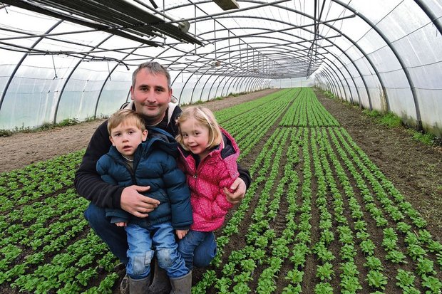 Gemüsebauer Christoph Johner mit den dreieinhalbjährigen Zwillingen Julian und Leonie im Gemüsebautunnel, wo Nüssli-Salat wächst. (Bild Josef Jungo)