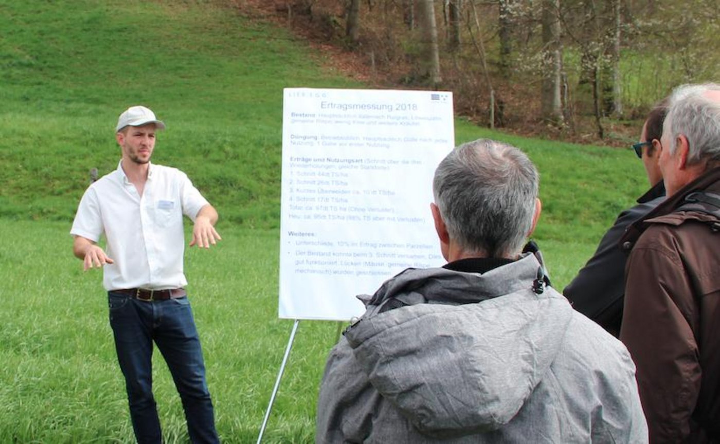  Die Naturwiese hinter Tobias Beeler präsentiert sich in bestem Zustand. Wichtig ist, dass das italienische Raigras regelmässig versamen kann. (Bilder Sebastian Hagenbuch)