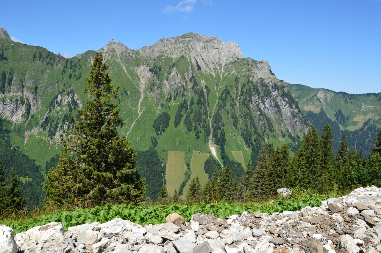 Die Aussicht von der Rautialp auf die Alpheugebiete, wie sie teilweise auch von Siegfried und Myrtha Fischli bewirtschaftet werden.