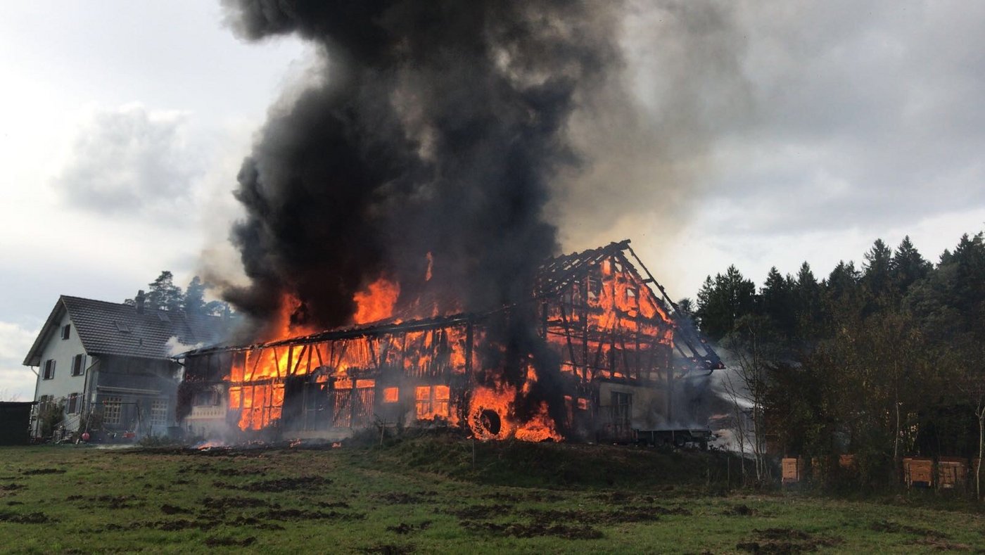 Der entstandene Sachschaden an der Liegenschaft sowie dem eingelagertem Material wird auf mehrere hunderttausend Franken geschätzt.  (Bild Kapo Zürich)
