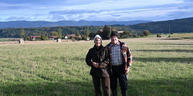 Die Damhirsche von Marcel Affolter und Christine Pernet wollen sich nicht fotografieren lassen und verziehen sich in den hinteren Gehegeteil. Das sei auch gut so, finden ihre Besitzer. Denn es sind Wildtiere und sollen es auch bleiben. (Bilder BauZ/aw)