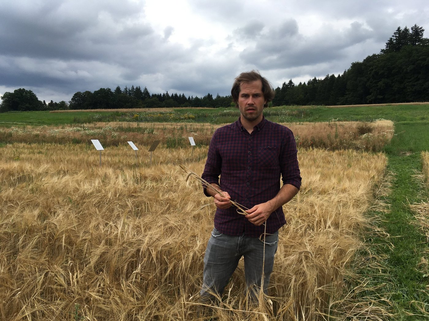 Dominik Füglistaller, Geschäftsführer der IG Mittellandmalz, ist sich sicher: Mit einer neuen, kommerziell tragfähigen Mälzerei kann ein noch grösserer Teil der Wertschöpfung im Inland verbleiben. Davon profitieren Bauern, Brauer und Konsumenten. (Bild Karin Ruchti)