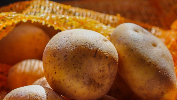 Man werde die Importe stoppen, sobald genügend Schweizer Kartoffeln wieder verfügbar sind. (Bild Pixabay)