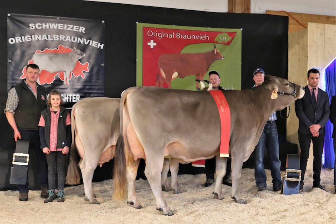 Die Miss Sorexpo Valido Livia (r) von Thomas Bucher aus Neuenkirch LU, siegte vor der Vorjahressiegerin Eldor Elena von Martin Schrepfer aus Wald, ZH. (Bild Reto Betschart)