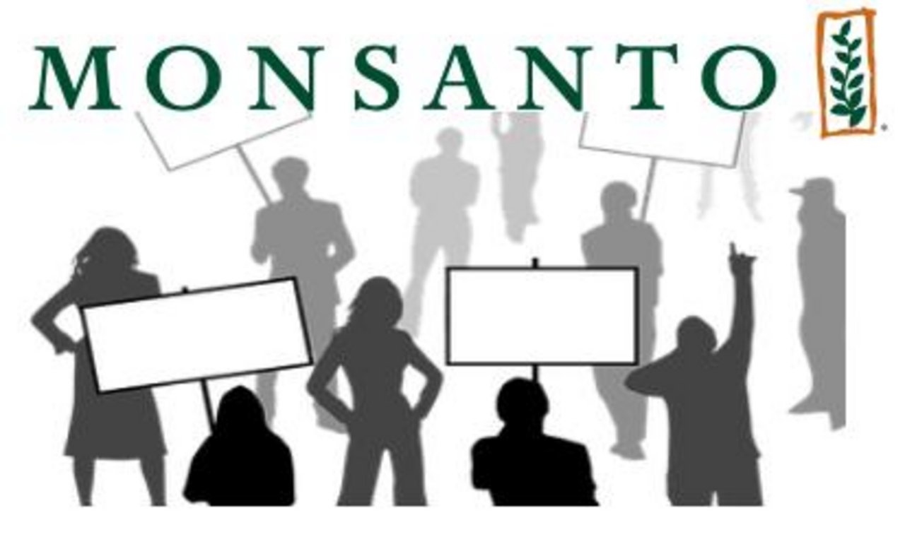 Monsanto war für Bayer bisher alles Andere als ein lohnendes Geschäft: Die Bayer-Aktie verlor nach der Übernahme drastisch an Wert. (Fotomontage jsc)