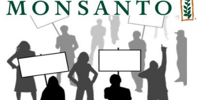 Monsanto war für Bayer bisher alles Andere als ein lohnendes Geschäft: Die Bayer-Aktie verlor nach der Übernahme drastisch an Wert. (Fotomontage jsc)