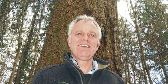 Thomas Studer vor einer der massiven Douglasien in den Wäldern oberhalb Selzach. (Bild David Coulin)