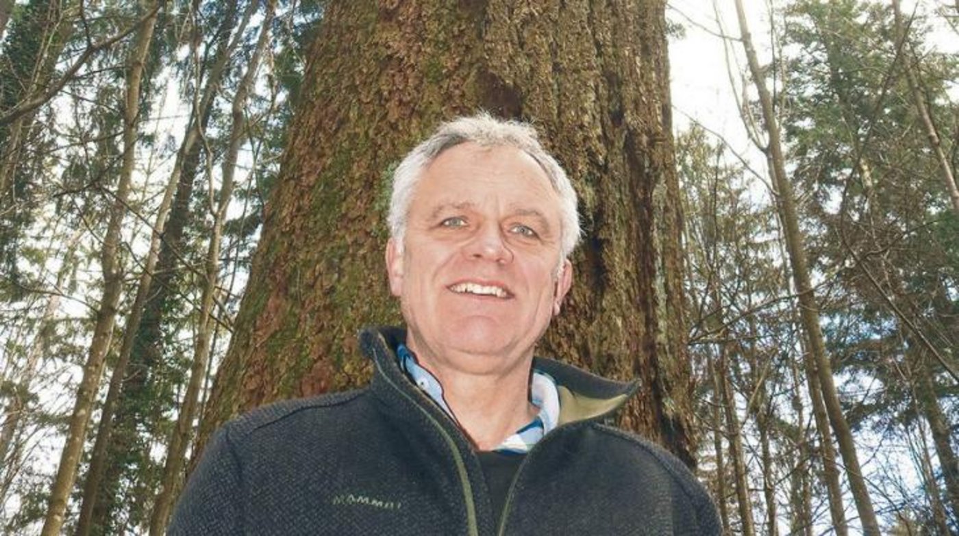 Thomas Studer vor einer der massiven Douglasien in den Wäldern oberhalb Selzach. (Bild David Coulin)