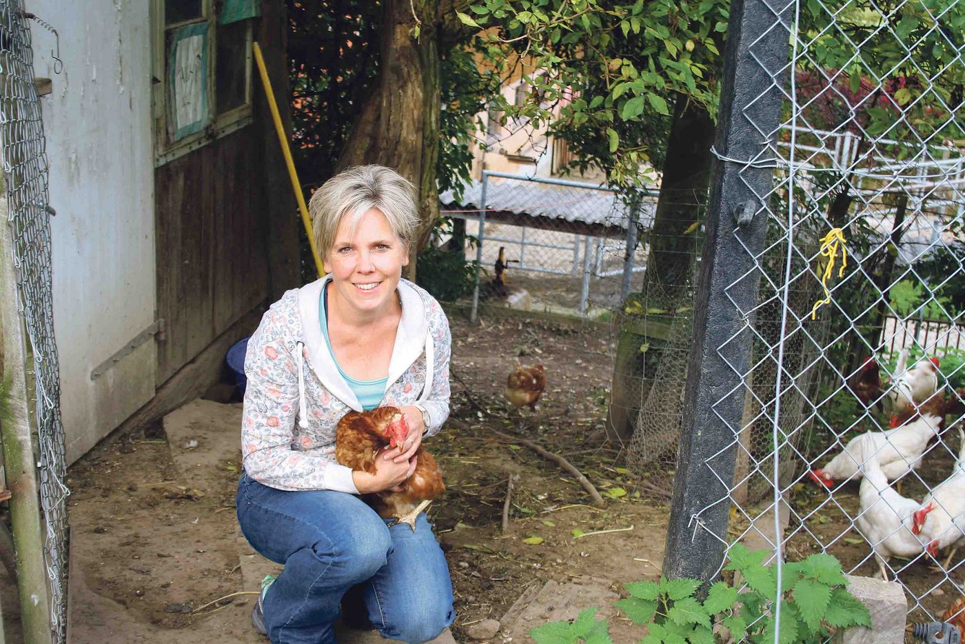 52 braune und weisse Legehennen geniessen auf dem Hof von Kathrin Leuenberger und ihrer Familie viel Auslauf und Legefreiheit: «Sie müssen nicht täglich ein Ei produzieren.» (Bild bma)