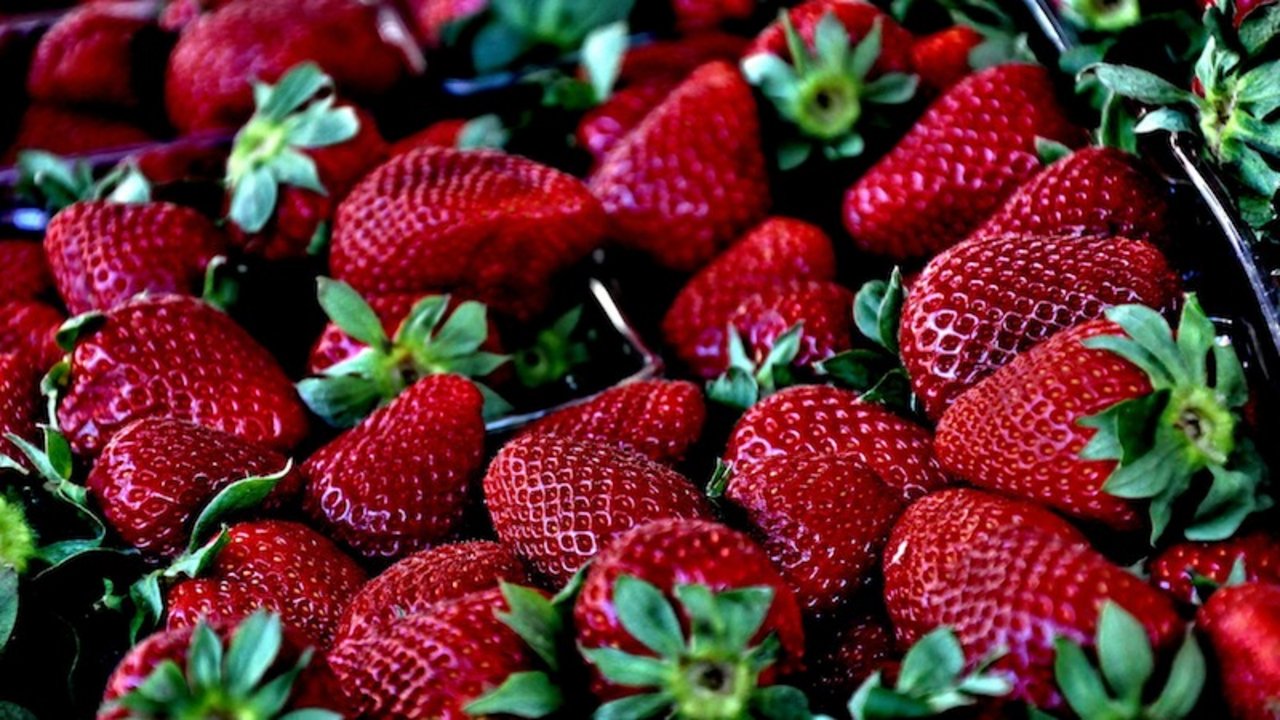 Sie sehen verführerisch aus. Zur Zeit ist jedoch Erdbeeren essen in Australien gefährlich. (Symbolbild Pixabay)