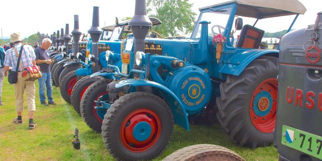 Das Wettheizen der «Bulldogs»-Traktoren bildete ein Höhepunkt des Oldtimer-Traktorentreffens. (Bilder Mario Tosato)