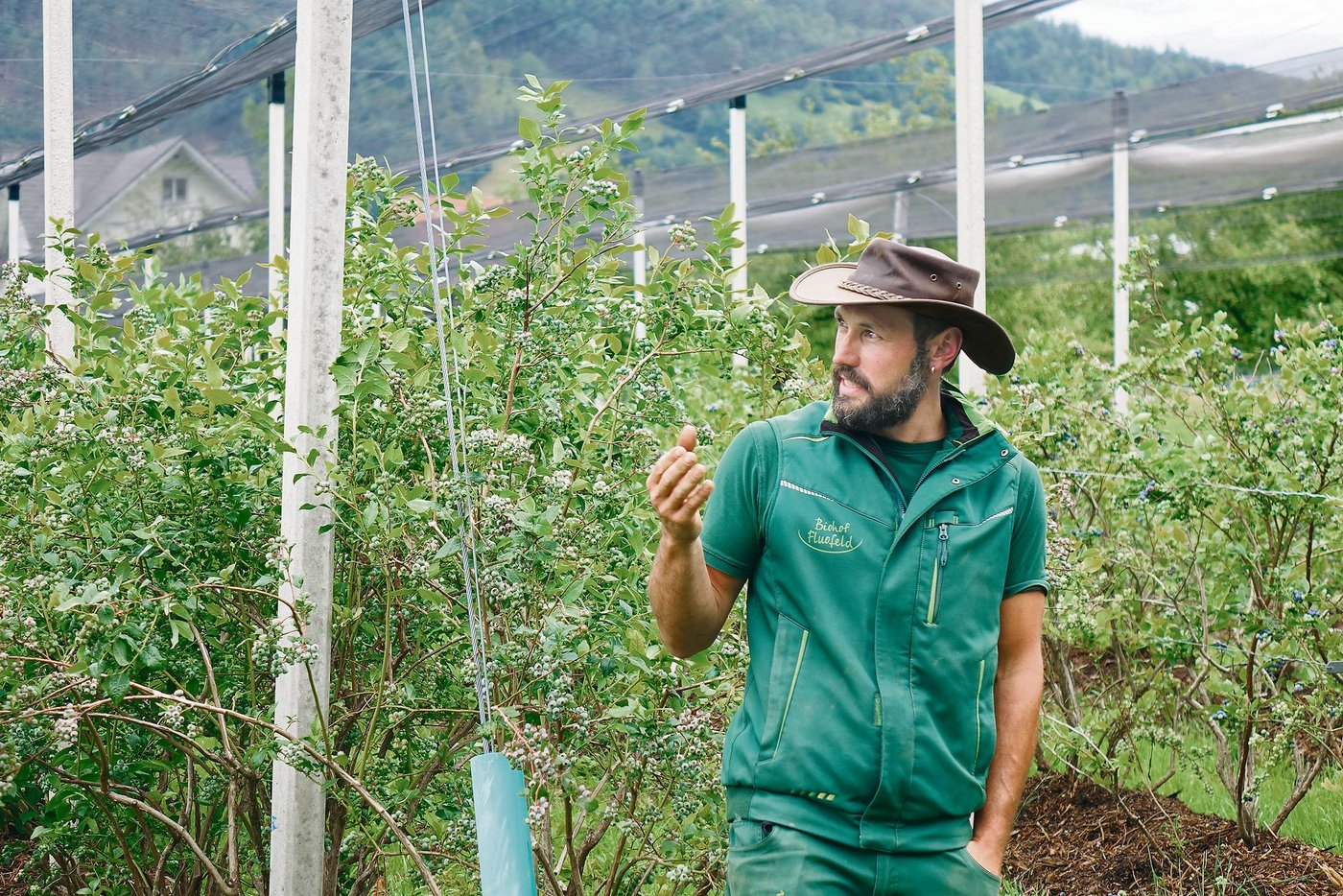 Betriebsleiter Michael Reichmuth berichtete an der FiBL-Veranstaltung von seinen Erfahrungen im Biobeerenanbau.  (Bild Thierry Suard)
