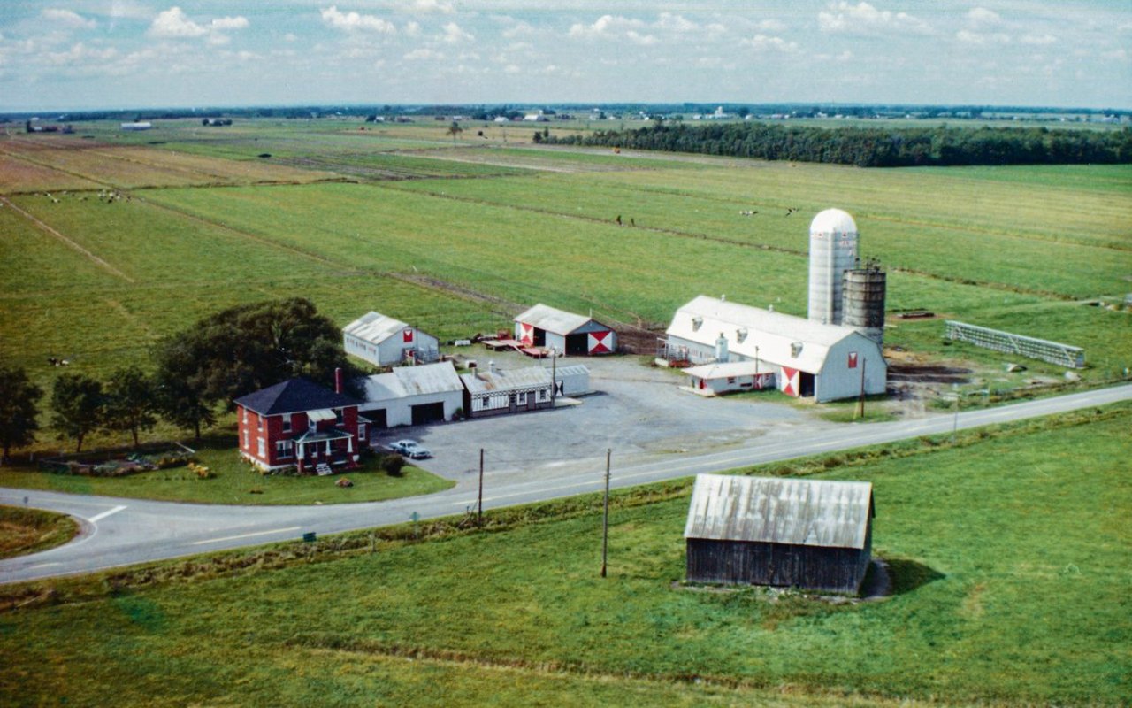 Die Familie Fankhauser wanderte 1977 nach Kanada aus und kaufte diese Milchfarm. Sie war damals 80 Hektaren gross mit 42 Kuhplätzen. Seither hat sich die Farm stark verändert.