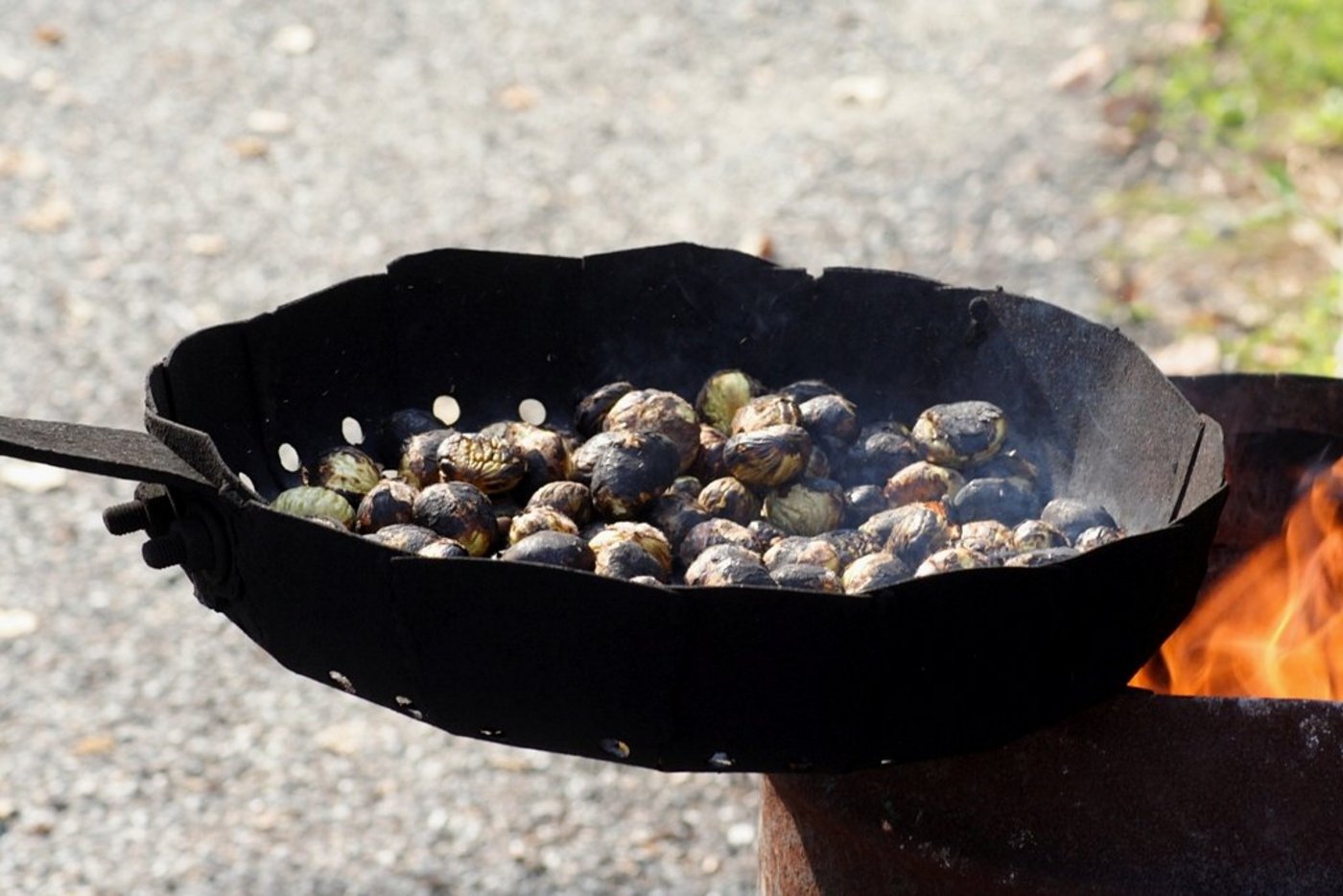 Die Marroni sind dieses Jahr knapp. (Bild: Günter Havlena/pixelio.de)