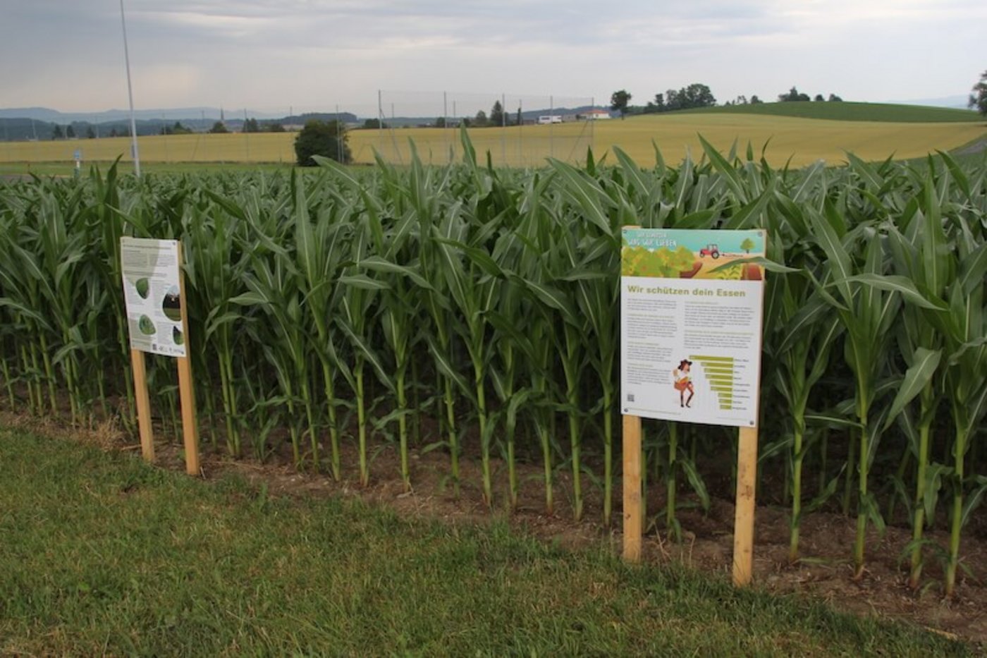 ...wie die Bedürfnisse der Landwirtschaft...