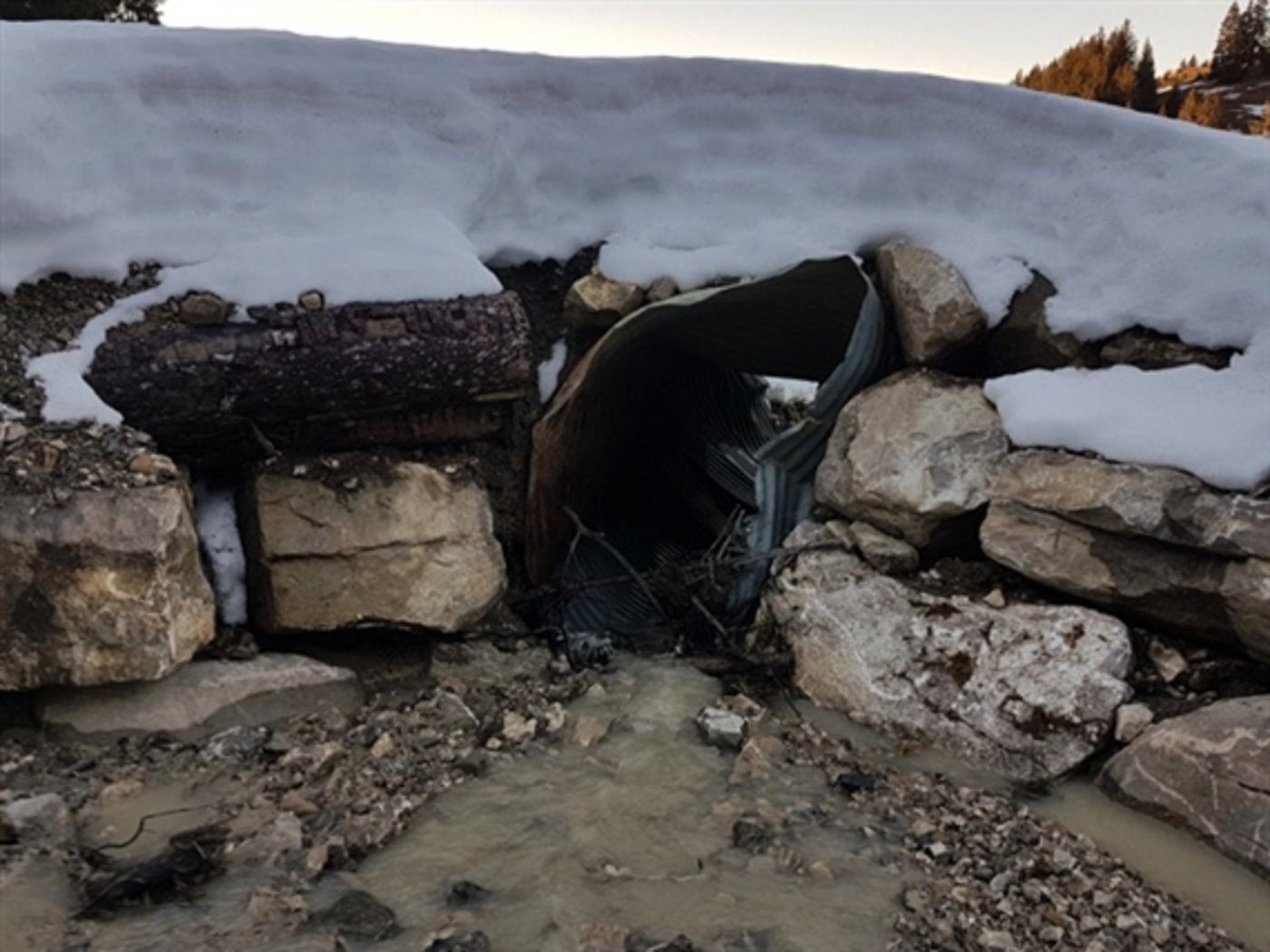 Ein Hangrutsch bei Schwarzsee FR hat diese Zufahrt stark verschoben. (Bild Franz Thalmann)