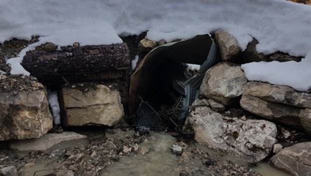 Ein Hangrutsch bei Schwarzsee FR hat diese Zufahrt stark verschoben. (Bild Franz Thalmann)