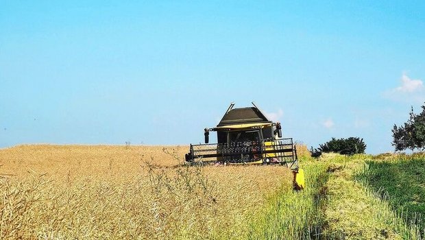 Die Zielmenge für die Ernte 2026 ist sowohl bei Raps als auch bei Sonnenblumen und Futtersoja noch nicht erreicht. 