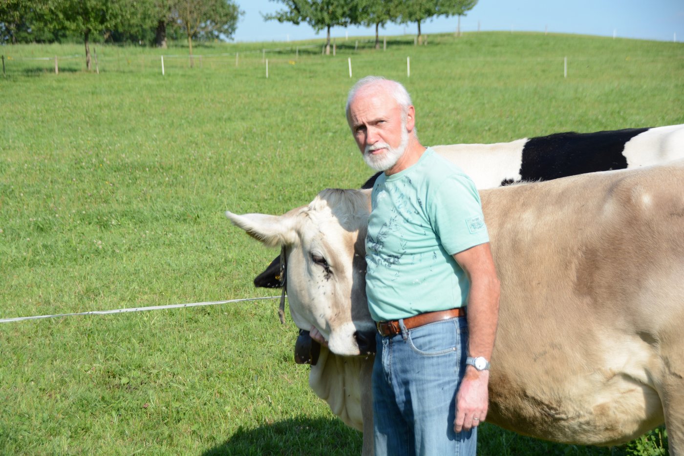 Franz Meyer holt seine Aufzuchtrinder von der Weide. Zu ihnen pflegt er einen starken Bezug.
