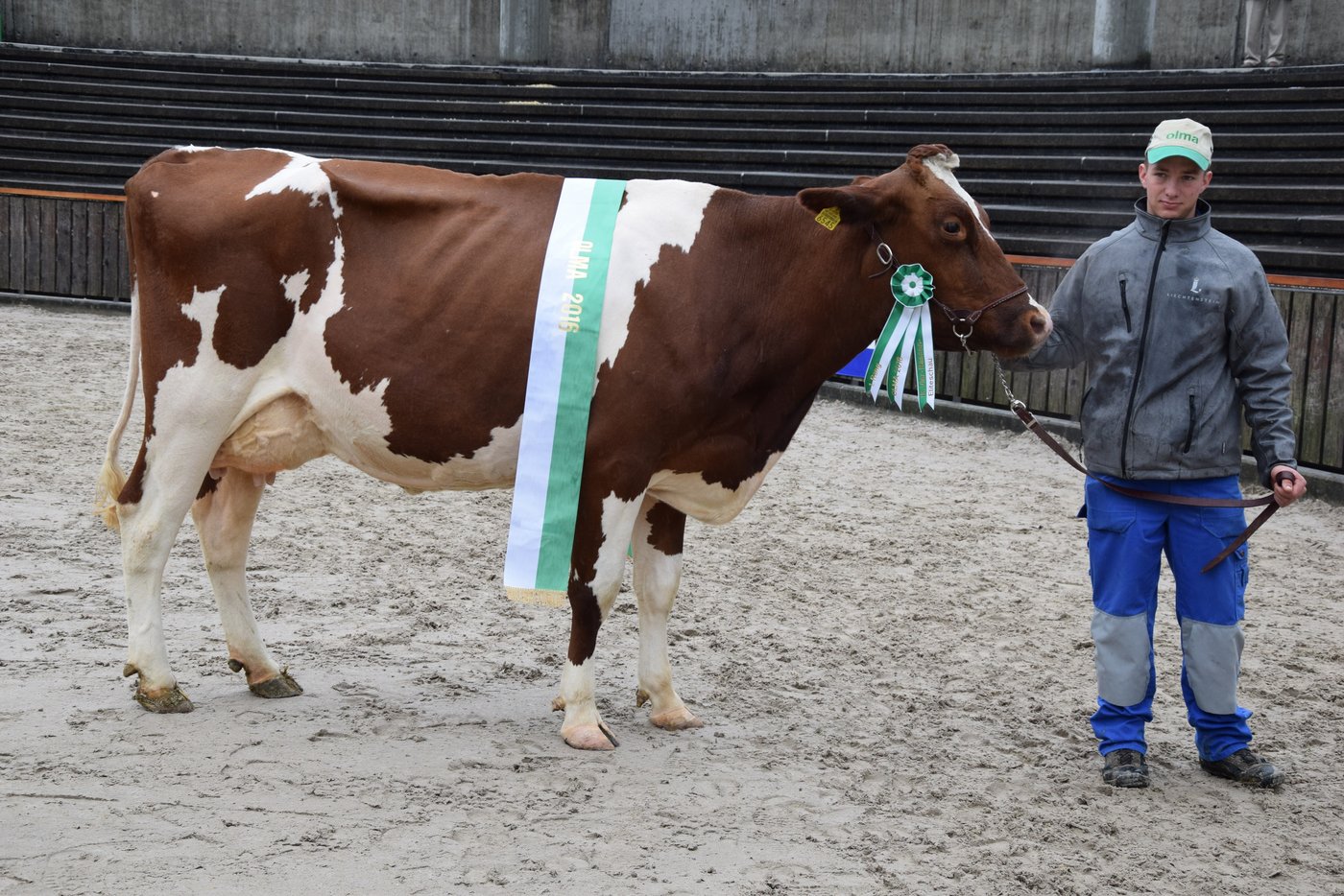 Sie wurde Red Holsteinsiegerin: Birkahof Bental Petra von Martin Telser aus Balzers.