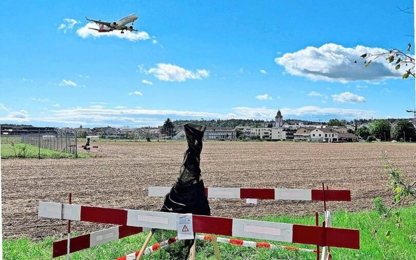 Zur Tilgung der Japankäfer setzt der Kanton Zürich auf Fallen mit insektizidbehandelten Netzen.