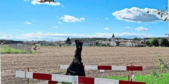 Zur Tilgung der Japankäfer setzt der Kanton Zürich auf Fallen mit insektizidbehandelten Netzen.