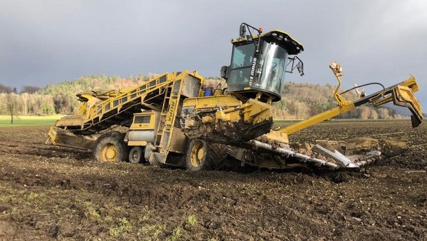 Eine schwierige Kampagne mit prekären Verladebedingungen und Verzögerungen, verursacht durch Probleme in der Zuckerfabrik Aarberg, ist zu Ende. Die Probleme beim Rübenring halten jedoch an. (Bild zVg) 