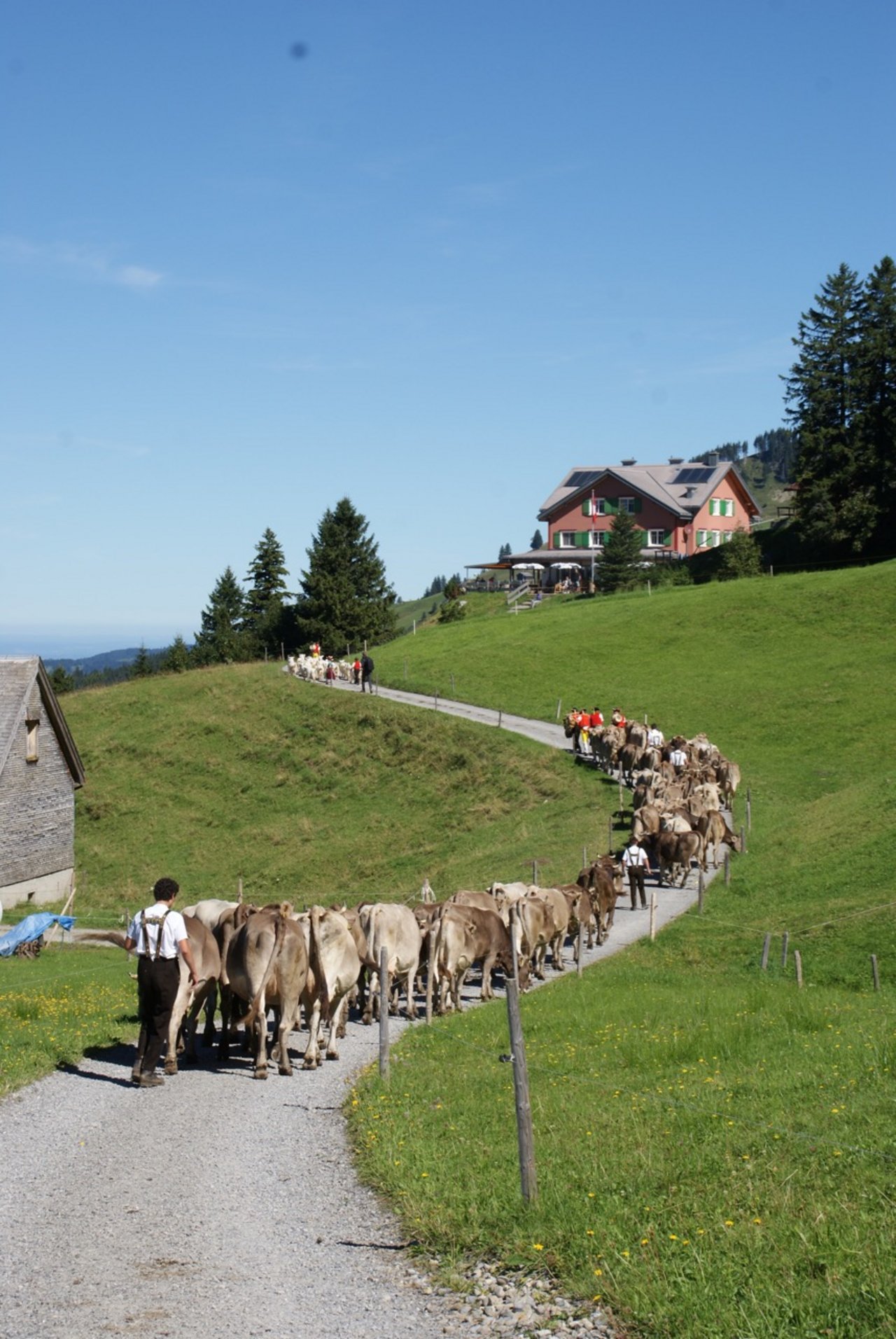 Der Zug marschiert ruhig und geordnet.