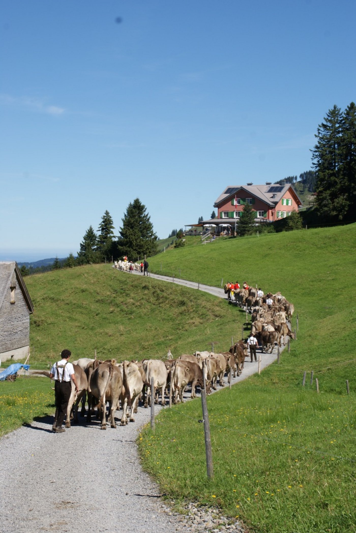 Der Zug marschiert ruhig und geordnet.